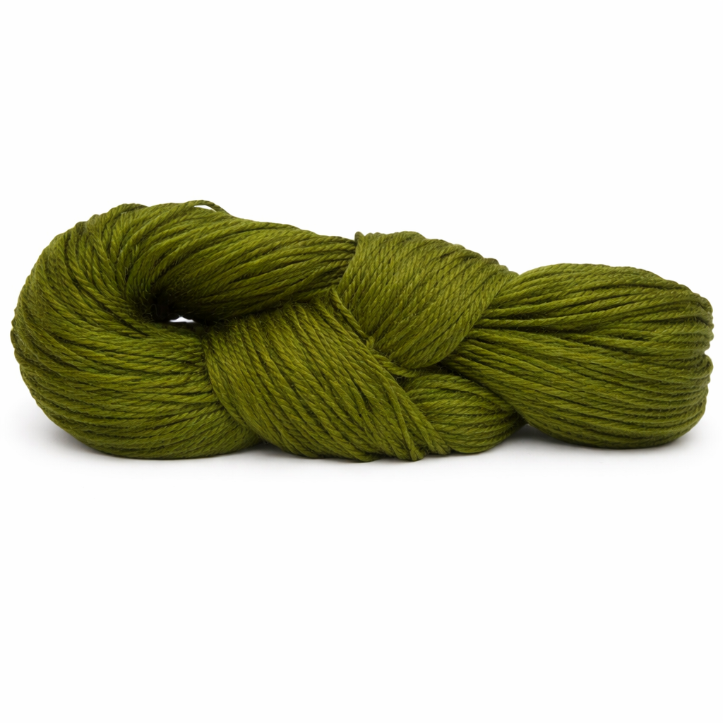 ChatGPT Image 13 ene 2026, 10_23_44 p.m.