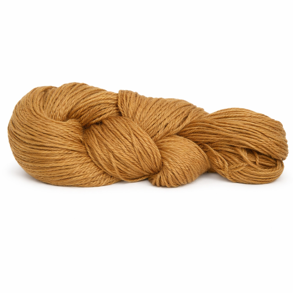 ChatGPT Image 13 ene 2026, 10_47_32 p.m.