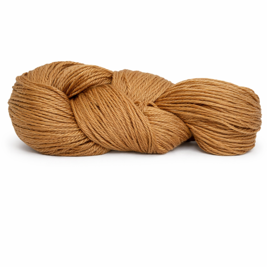 ChatGPT Image 13 ene 2026, 10_52_40 p.m.